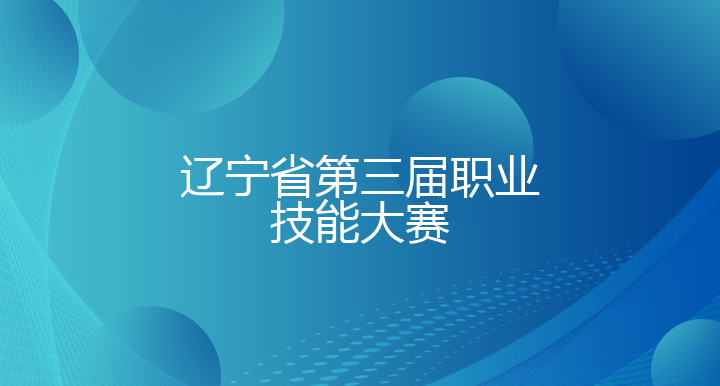 辽宁省第三届职业技能大赛